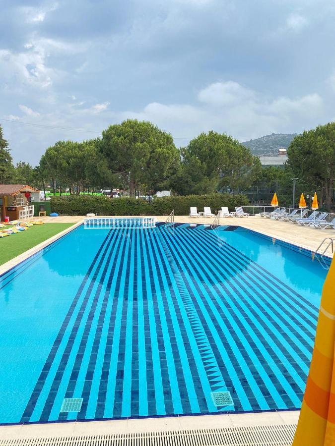 Palm Club Apart Otel Kusadası Exteriör bild